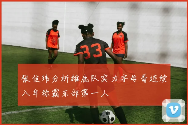 张佳玮分析雄鹿队实力字母哥连续八年称霸东部第一人