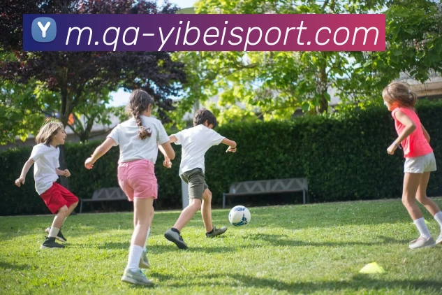 多媒体互动体验